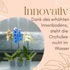 2er Set Orchideentopf Transparent Orchideen Übertopf Produktbild-Vorschau 5