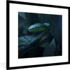 MuchoWow® Gerahmtes Poster Schlange - Makro - Holz 40x40 cm Produktbild-Vorschau 1