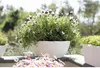 BAMA Vaso da fiori PAGLIA, 30 cm, bianco Anteprima dell’immagine prodotto 2