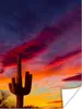 MuchoWow® Poster Kaktus - Himmel - Sonnenuntergang - Lila - Produktbild-Vorschau 1
