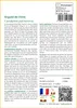 SAFLAX  - Orgueil de Chine - 10 graines - Caesalpinia Voir les images du produit 3