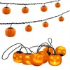 Guirlande lumineuse LED Halloween citrouille 3D, 4,5m de Voir les images du produit 10