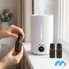 MalTec WT-5000-ION: Humidificador ultrasónico con Vista previa de la imagen del producto 5