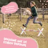 Hobby Horsing Cavaletti - Pink Produktbild-Vorschau 4