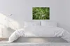 Leinwandbild Bäume Blätter 50 x 70 cm - Wandbild Wald Grün Produktbild-Vorschau 4