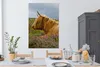 OneMillionCanvasses® - Leinwandbilder - 90x140 cm, Scottish Produktbild-Vorschau 5