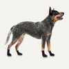 Goo-eez Dog Boots Lites 4 Per Pack S Schwarz Produktbild-Vorschau 2