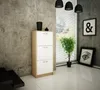 A modern entryway or living room with a concrete wall, a shoe cabinet, a plant, and artwork. Produktbild-Vorschau