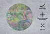 MuchoWow® Mauspad Mousepad Der Garten des Künstlers in Produktbild-Vorschau 2