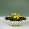 Jardinière pour l'extérieur Jardinière décorative ronde Voir les images du produit 4