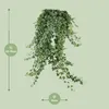 Hedera Helix Pitsburg con vaso sospeso XXL - 70-80cm - Anteprima dell’immagine prodotto 4