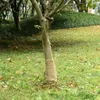 toile de jute vidaXL 0,25x15 m 100% jute 200 g/m² Voir les images du produit 5