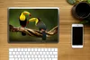 MuchoWow® Laptop Aufkleber Sticker Cover Vögel - Tukan - Produktbild-Vorschau 2