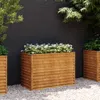 vidaXL Aiuola rialzata da giardino 100 x 50 x 69 cm in Anteprima dell’immagine prodotto 2