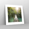 Poster - Poster ohne Rahmen - Brücke Seil Dschungel - 30x30 Produktbild-Vorschau 7