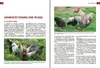 Das Hühnerbuch Produktbild-Vorschau 4