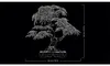 LEGO BOTANICALS 10348 Japanese Red Maple Bonsai Tree Anteprima dell’immagine prodotto 25