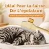 Activ Pet Bürste zum Auffangen von Haaren, Katzenbürste, Produktbild-Vorschau 6