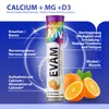 Calcium + Magnesium + D3 Brausetabletten 12 Produktbild-Vorschau 3