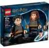 LEGO 76393 Harry Potter Harry Potter & Hermine Granger Produktbild-Vorschau 28