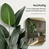 IvoQ Strelitzia Kunstpflanze 180 cm - Große Produktbild-Vorschau 6