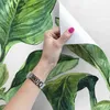 Coloray Fototapete 104x70 cm Latextapete Magicstick - Produktbild-Vorschau 3