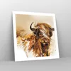 Poster - Poster ohne Rahmen - Stier Scotch Aquarell - 60x60 Produktbild-Vorschau 7