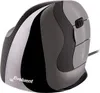 Evoluent Maus VerticalMouse D Rechts small wired anthrazit Voir les images du produit 2