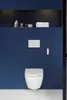 Geberit AquaClean Alba WC-Kompletta­nlage Wand-WC, weiß, Produktbild-Vorschau 9
