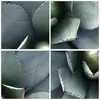Bilder auf glas - Einteilig - Blau Blätter Agave - 30x30cm Produktbild-Vorschau 8