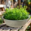 Mini laghetto da giardino rotondo argento - 52 cm - Vaso da Anteprima dell’immagine prodotto 7