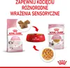 Royal Canin FHN Kitten Instinctive mokra karma dla kociąt w Podgląd zdjęcia produktu 11