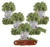 5 x ALIZE Puffy 485 Green mit Label Produktbild-Vorschau 1