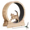 Mondeer Jouet intelligent pour animaux Tapis roulant pour Voir les images du produit 1