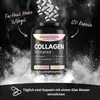 Collagen Hyaluronsäure Komplex, 120 Kapseln 1000mg Kollagen Produktbild-Vorschau 3