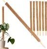 ​Erweiterbare Rankhilfe Kokosstab 110 cm mit Kokosfilz für Produktbild-Vorschau 1