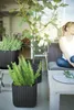 KETER Cube Planter M Kvetináč 297 X 297 X 297 cm Antracit Náhľad obrázku produktu 2