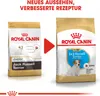 Royal Canin Jack Russell Junior, Welpe, Jack Russell Produktbild-Vorschau 4