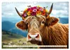 Zauberhaft geschmücktes Milchvieh (Wandkalender 2027 DIN A4 Produktbild-Vorschau 4