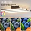 ZMH Plafonnier Moderne Lampe de Cuisine Noir 18W Lampe de Voir les images du produit 5