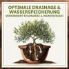 Green Home Olivenbaum- & Oleandererde 72 L – für Produktbild-Vorschau 3