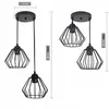 Luxolar Led Pendelleuchte 2-flammig aus Metal Draht im Produktbild-Vorschau 3