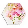 DEQORI Glasbild Echtglas 40x35 cm 'Orchideenflüstern' Produktbild-Vorschau 2