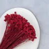 Hill Blume - Rot Produktbild-Vorschau 2