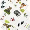 Sada edukačních karet lesní zvířata CZ Náhled obrázku produktu 4