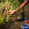 Nawóz organiczny z wełny owczej – granulat (5 kg na 50 m2) Podgląd zdjęcia produktu 2
