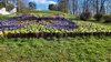Weide Garten Palisade 100x20cm Satz von 5 Stück. Weidenzaun Produktbild-Vorschau 14