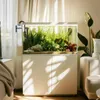 An aquarium with lush green plants and a white cabinet stand, placed in a well-lit room with a sofa and curtains. Produktbild-Vorschau