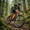 MalTrack, horské bicykel, 26 palcov, MTB, prevodovka Náhľad obrázku produktu 3
