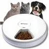 An automatic pet feeder with two cats and a dog looking at it. Anteprima dell’immagine prodotto